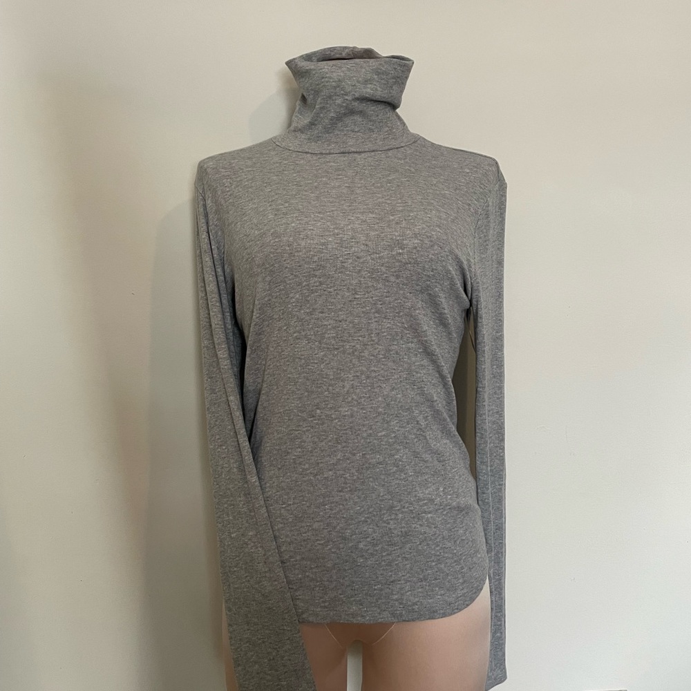 Aritzia Sunday Best Freshman Turtleneck